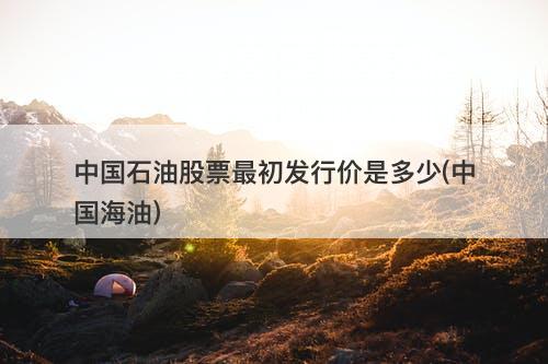 中国石油股票最初发行价是多少(中国海油)-图1