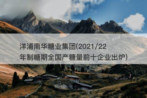 洋浦南华糖业集团(2021/22年制糖期全国产糖量前十企业出炉)