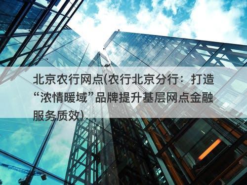 北京农行网点(农行北京分行：打造“浓情暖域”品牌提升基层网点金融服务质效)