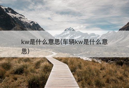 kw是什么意思(车辆kw是什么意思)-图1