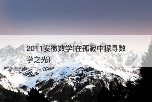 2011安徽数学(在孤寂中探寻数学之光)-图1