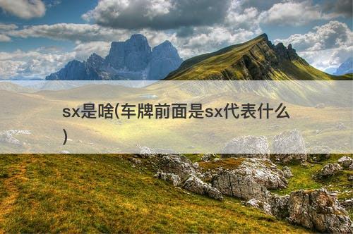 sx是啥(车牌前面是sx代表什么)