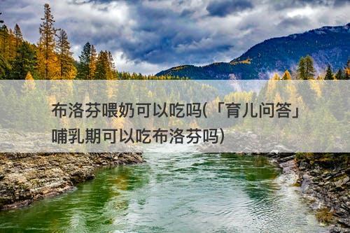 布洛芬喂奶可以吃吗(「育儿问答」哺乳期可以吃布洛芬吗)