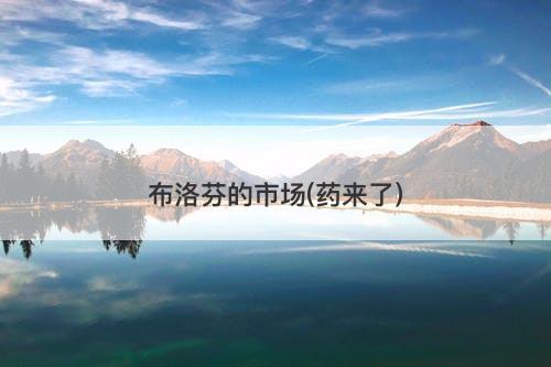 布洛芬的市场(药来了)