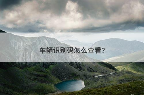 车辆识别码怎么查看？-图1