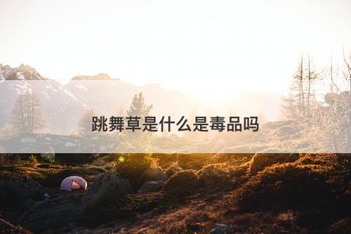 跳舞草是什么是毒品吗-图1