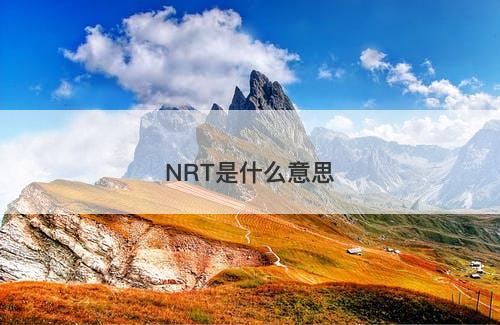 NRT是什么意思-图1