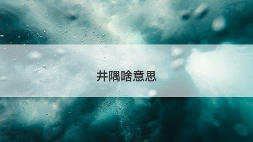 井隅啥意思-图1 井隅啥意思-图1