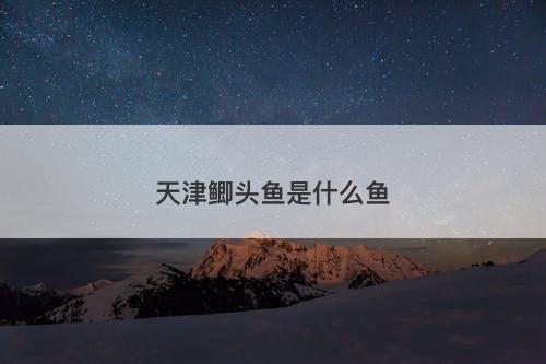 天津鲫头鱼是什么鱼-图1
