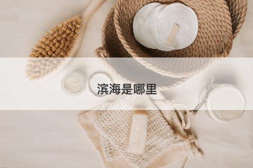 滨海是哪里-图1