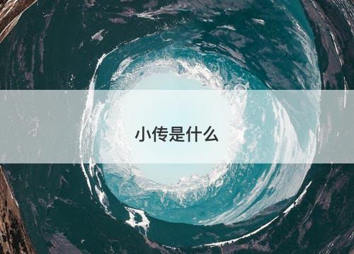 小传是什么-图1