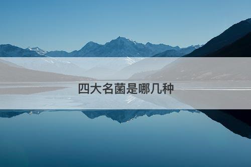 四大名菌是哪几种-图1