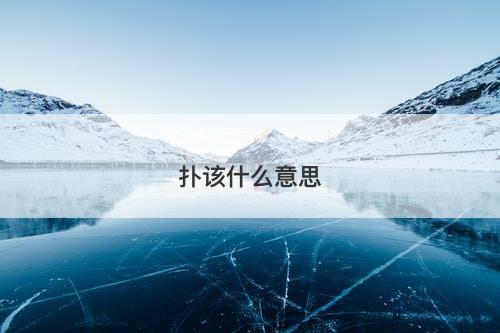 扑该什么意思-图1