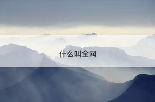 什么叫全网-图1