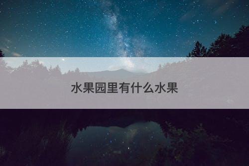 水果园里有什么水果-图1