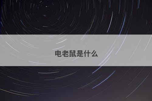 电老鼠是什么-图1 电老鼠是什么-图1