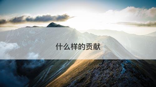 什么样的贡献-图1