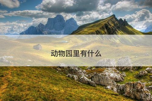动物园里有什么-图1