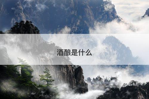 酒酿是什么-图1