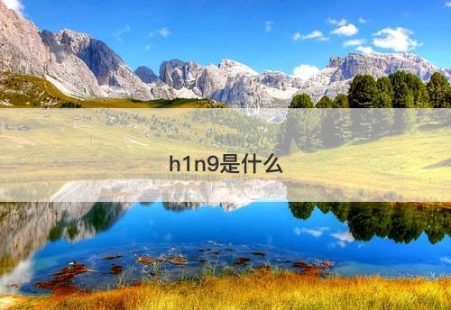 h1n9是什么-图1 h1n9是什么-图1