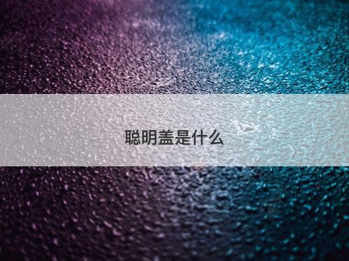 聪明盖是什么-图1