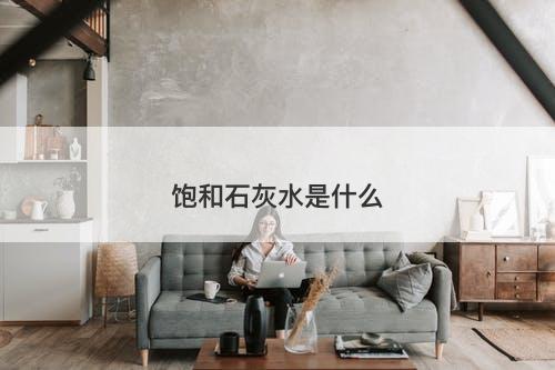 饱和石灰水是什么-图1