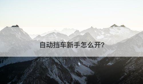 自动挡车新手怎么开？-图1
