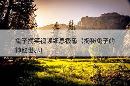 兔子搞笑视频细思极恐（揭秘兔子的神秘世界）-图1