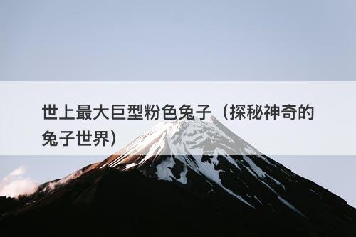 世上最大巨型粉色兔子（探秘神奇的兔子世界）-图1