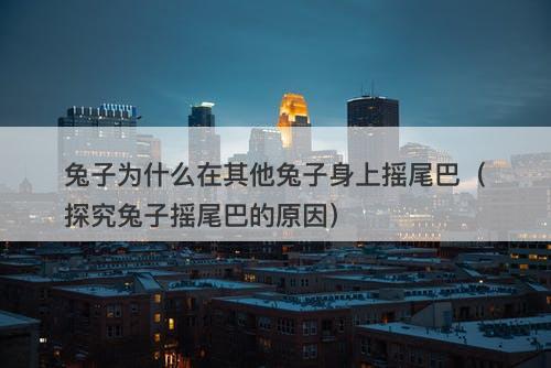 兔子为什么在其他兔子身上摇尾巴（探究兔子摇尾巴的原因）-图1