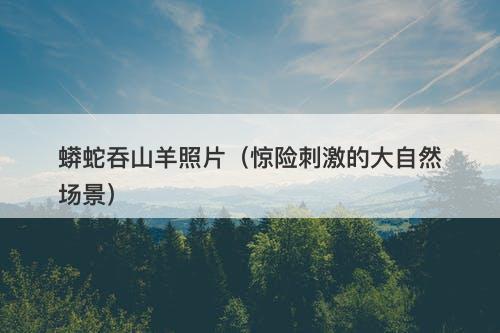 蟒蛇吞山羊照片（惊险刺激的大自然场景）-图1