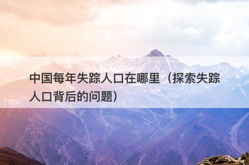 中国每年失踪人口在哪里(探索失踪人口背后的问题)-图1 中国每年失踪人口在哪里(探索失踪人口背后的问题)-图1
