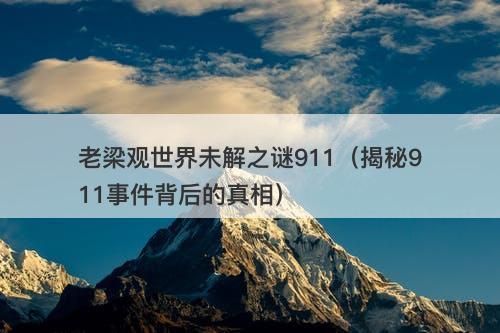 老梁观世界未解之谜911（揭秘911事件背后的真相）-图1