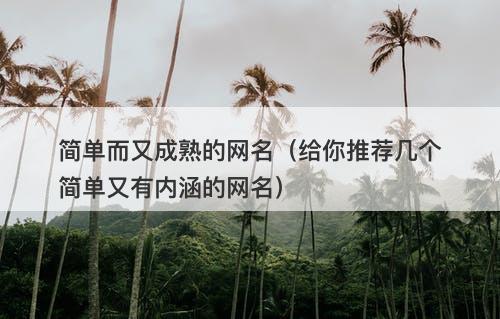 简单而又成熟的网名（给你推荐几个简单又有内涵的网名）-图1