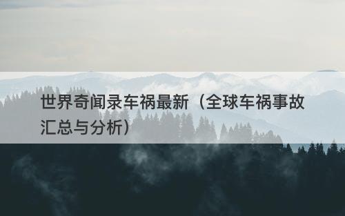 世界奇闻录车祸最新（全球车祸事故汇总与分析）-图1