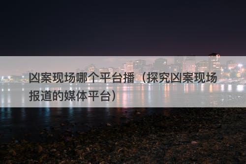 凶案现场哪个平台播（探究凶案现场报道的媒体平台）-图1