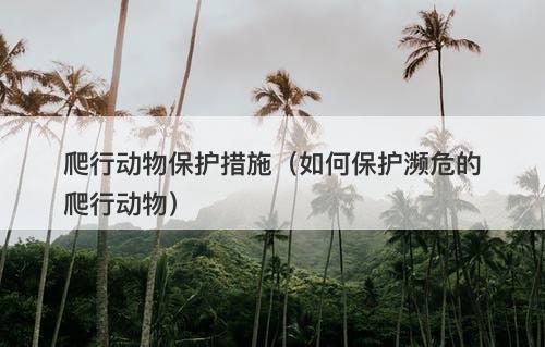 爬行动物保护措施（如何保护濒危的爬行动物）-图1