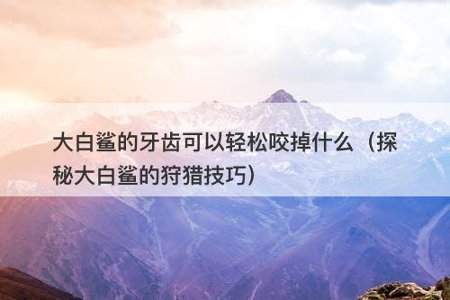 大白鲨的牙齿可以轻松咬掉什么（探秘大白鲨的狩猎技巧）-图1