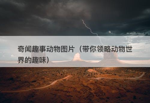 奇闻趣事动物图片（带你领略动物世界的趣味）