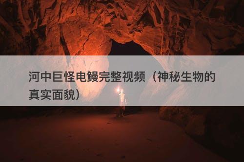 河中巨怪电鳗完整视频（神秘生物的真实面貌）-图1