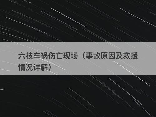 六枝车祸伤亡现场（事故原因及救援情况详解）