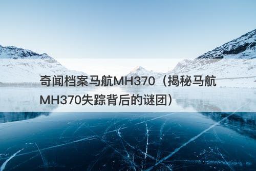 奇闻档案马航MH370（揭秘马航MH370失踪背后的谜团）