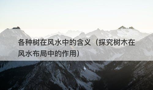 各种树在风水中的含义（探究树木在风水布局中的作用）