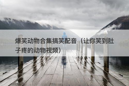 爆笑动物合集搞笑配音（让你笑到肚子疼的动物视频）