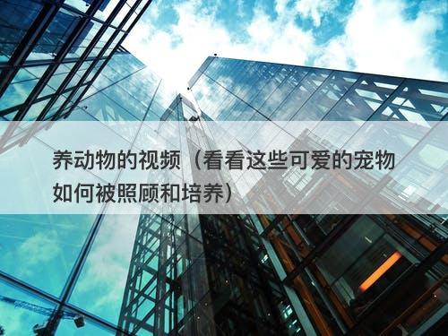 养动物的视频（看看这些可爱的宠物如何被照顾和培养）