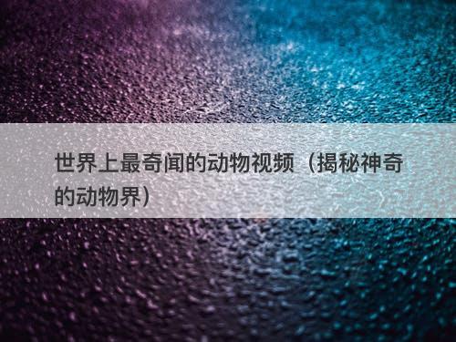 世界上最奇闻的动物视频（揭秘神奇的动物界）