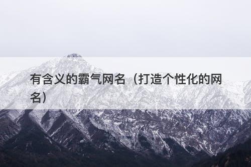 有含义的霸气网名（打造个性化的网名）
