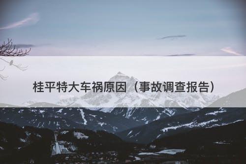 桂平特大车祸原因（事故调查报告）