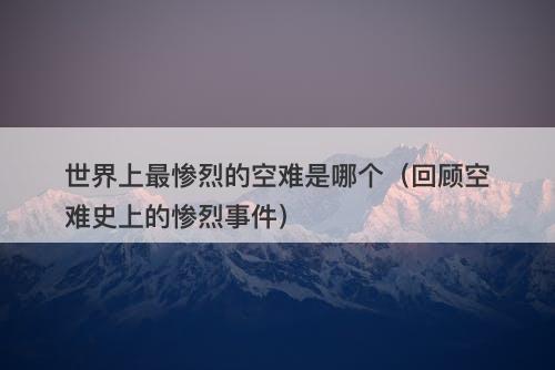 世界上最惨烈的空难是哪个（回顾空难史上的惨烈事件）