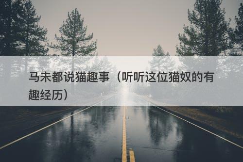 马未都说猫趣事（听听这位猫奴的有趣经历）